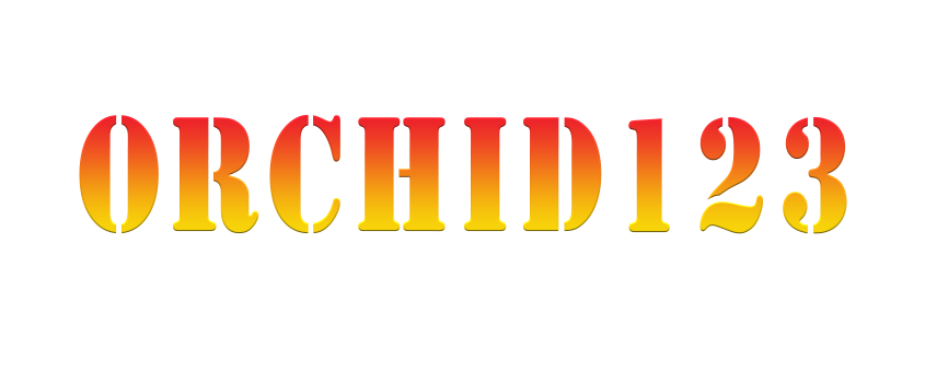 Orchid123